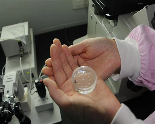 南昌代孕中介怎么样_B73AH_94299_白带清洁度3度是怎么回事？需要治疗吗？_MqRU9