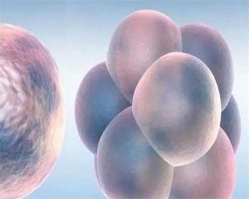 代妈费用_53岁借卵子生子_rp1mO_q86z0_2r5rZ_8b3V7_α和β地贫哪个遗传给宝宝后比较严