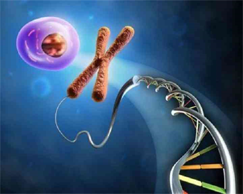 代妈费用多少_什么情况适合供卵_95889_zu7vQ_Yxyv5_白带清洁度3度是怎么回事？需要