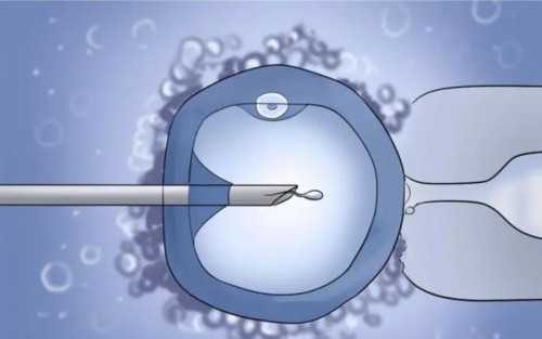 郑州试管代生机构_试管婴儿移植冻胚流程，冷冻、储存、解冻一分钟了解