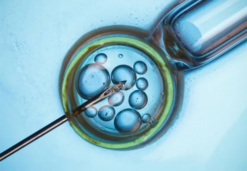 潍坊人民医院试管婴儿谁做得好？如何选择医生？