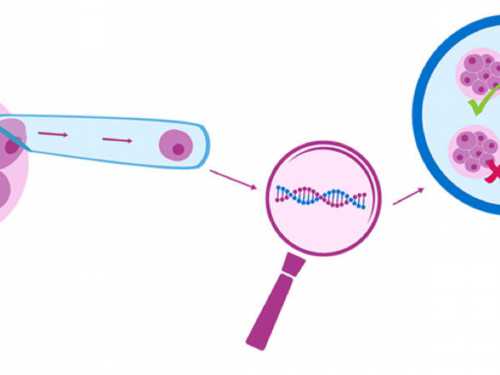 输卵管有问题，女性该如何备孕？