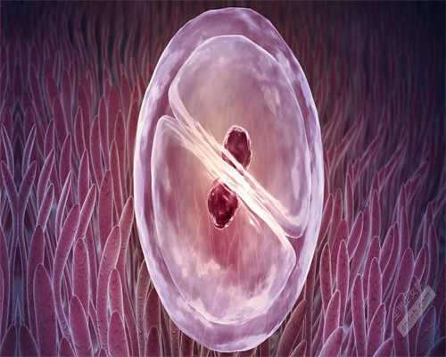 北京试管婴儿医院哪家好 什么样的子宫内膜适合胚胎移植