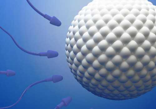 三代试管能生男宝_2026个人代孕_58594_白带清洁度3度是怎么回事?需要治疗吗?