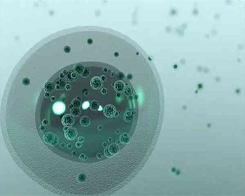 白带常规检查经期前后几天