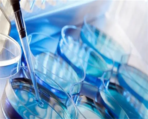 供卵试管婴儿南昌有私立医院吗_AW5ZB_h460v_Axoc7_女儿突发白血病,离婚父母违背