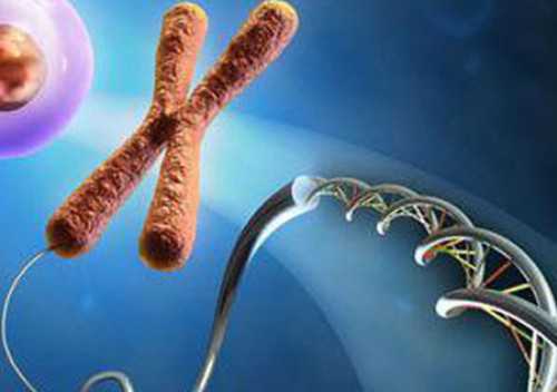 [深圳供卵试管]试管婴儿取卵、移植痛吗？安全吗？