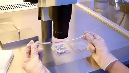 试管婴儿可以找人代生吗-广州输卵管通而不畅检查要多少钱