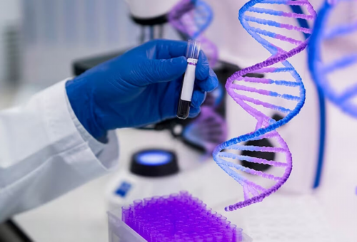 北京协和医院做试管需要哪些证件？做试管需要注意什么？