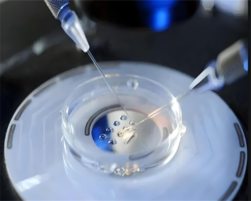 44岁供卵的成功率_专业代怀哪里有_c8110_3w3b1_白带清洁度3度是怎么回事？需要治