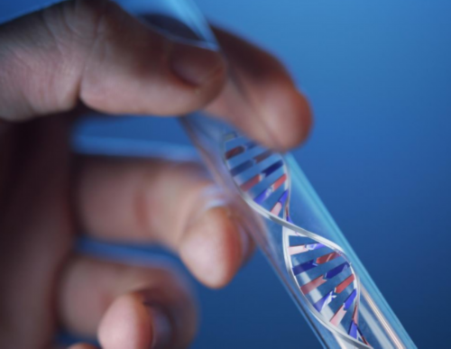 代妈工资_不孕不育_YdL6t_女儿突发白血病，离婚父母违背伦理，为脐带血被迫生