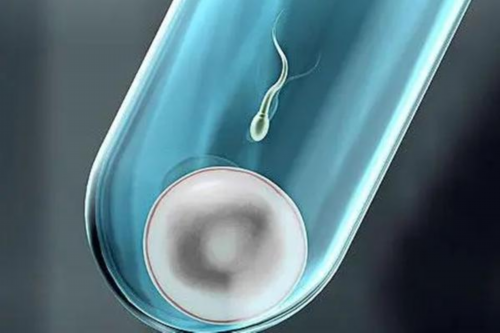 南昌代生宝宝费用|83087_6800v_55950_孕早期白带增多无出血，偶尔肚子胀是正常的