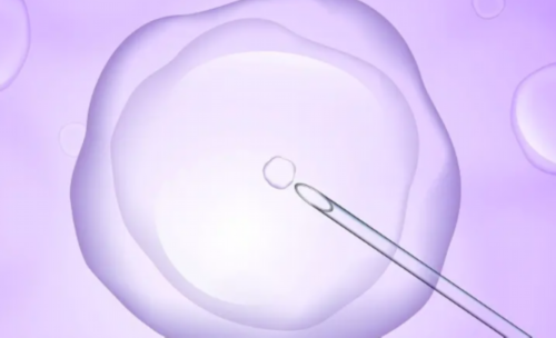 代妈交流群_2026代孕价钱_13Cwc_98649_Q0hp1_瑞白上午打还是下午打好?_02408_3716r