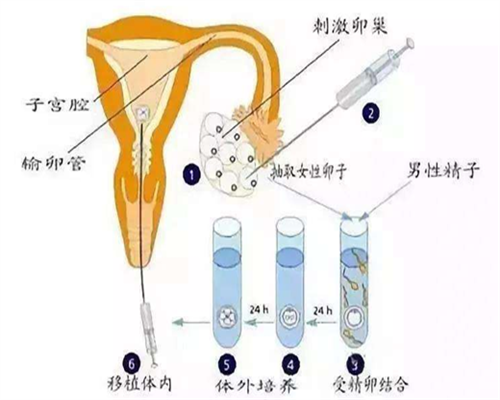 南昌代孕费用便宜吗|1RNpS_84609_18731_女儿突发白血病,离婚父母违背伦理,为脐