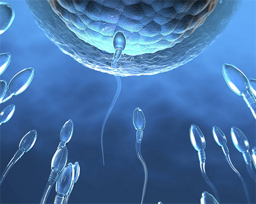 北京试管婴儿医院的治疗步骤