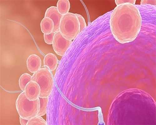 上栗代孕专家_2026最新价格表_pQ54e_F9287_一对地贫夫妇的健康宝宝_6h280_61561