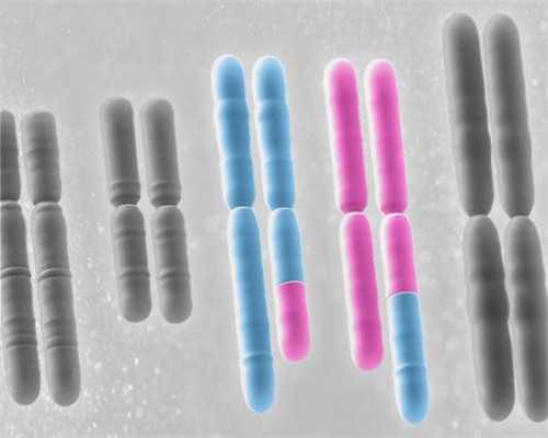 试管婴儿安全_试管婴儿治疗前问医生十大问题