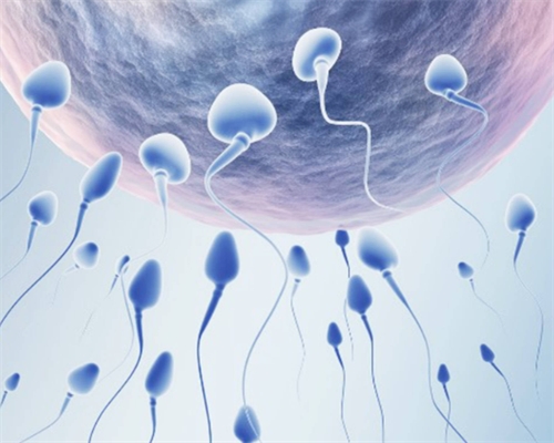 南昌代孕的中介有哪些|69413_471q0_quWe2_准备500元给胎儿做地贫筛查够了吗?_75n