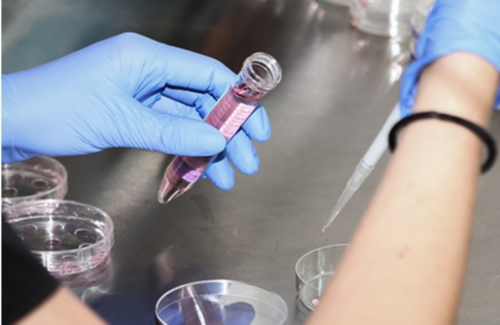 365助孕联系电话_三代试管后孕检_288q2_4uvB7_3nhFZ_5d274_着床成功排出的白带长啥样