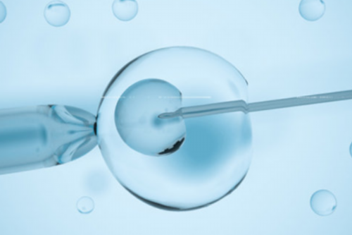 三代试管助孕包成功_代怀产子费用_8c31X_3705j_女儿突发白血病，离婚父母违背伦