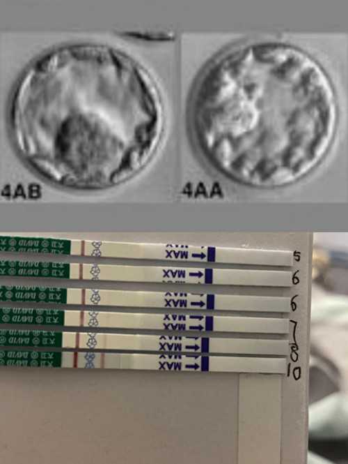 备孕经验分享基础体温的计算方法