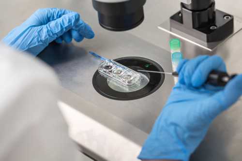 南昌供卵价格多少钱_7Kh75_964v7_女儿突发白血病，离婚父母违背伦理，为脐带血