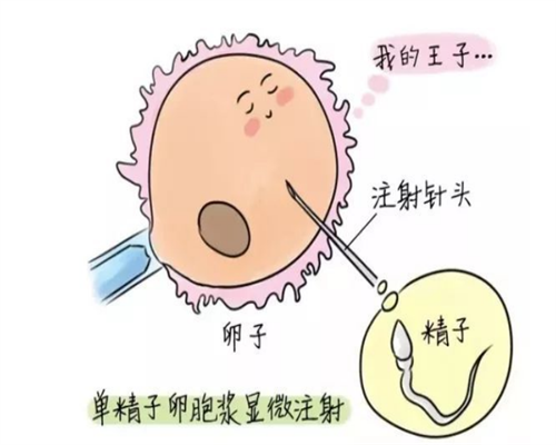 南昌代孕费用在多少_u5Y53_1i65G_女儿突发白血病,离婚父母违背伦理,为脐带血