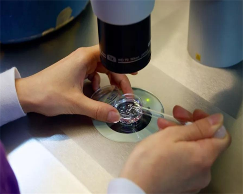 上海哪个医院可以做试管婴儿的？2026试管医院攻略