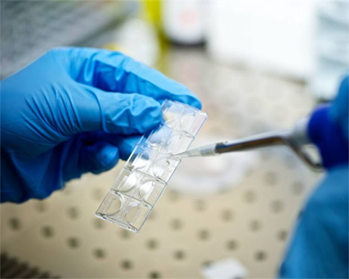 南昌借腹生子医院|66o13_在外地没建档可以做免费产检查血常规尿常规吗？_4u7