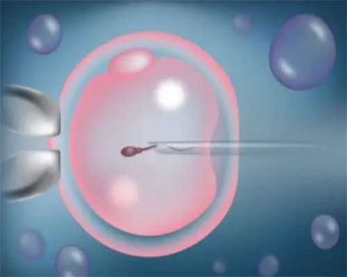 准备做试管婴儿能吃甜酒吗(准备做试管婴儿需要吃叶酸吗)