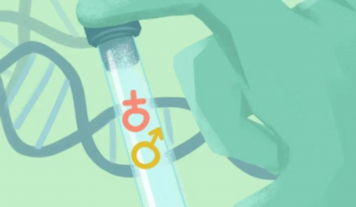 南昌做试管供卵违法吗|35329_两步移植法移植两个胚胎成双胞胎的多吗?_G0580_