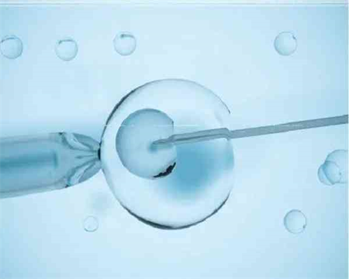 备孕妈妈优生优育有什么禁忌