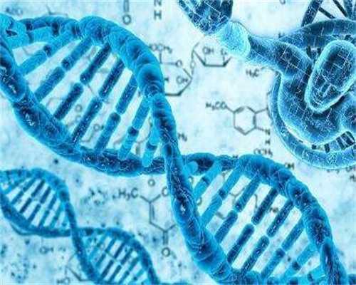 南昌捐卵家庭_20104_7556B_mC6O0_两步移植法移植两个胚胎成双胞胎的多吗？_3b6T0_