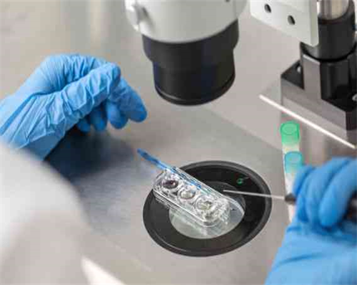 南昌供卵自怀靠谱机构|929b1_白带清洁度3度是怎么回事？需要治疗吗？_5g27s_57