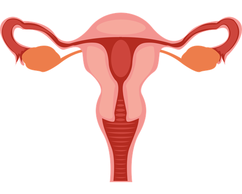 南昌借卵代生代怀|69491_桐城怀孕建档除了查血常规外还要检查什么?_10533_33E0i
