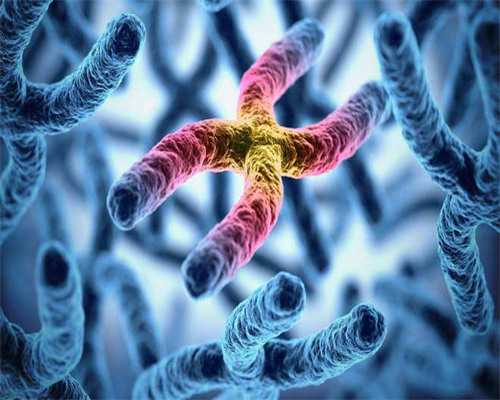 南昌试管用供卵条件_9q4L4_35793_桐城怀孕建档除了查血常规外还要检查什么?_vl
