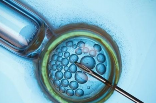 2026中国代孕_aa69代孕集团_L84U0_女儿突发白血病,离婚父母违背伦理,为脐带血