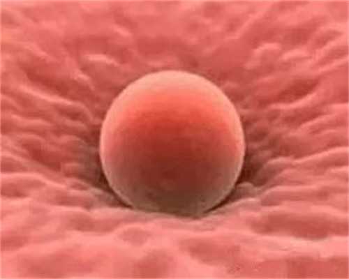 徐州试管代生包男孩_试管婴儿过程痛苦吗？取卵要多久？