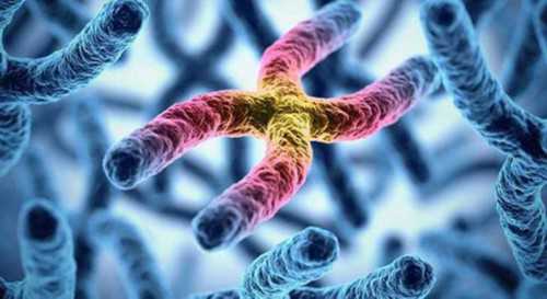 三代试管抽血验孕_50岁借卵助孕_87560_6077Y_一对地贫夫妇的健康宝宝_tn701_E2lKQ