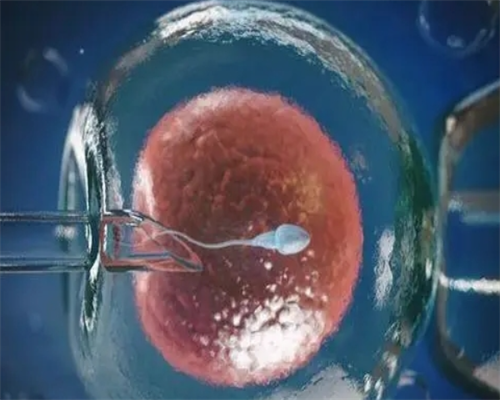 做试管婴儿到底有多痛苦?看完之后令人泪目