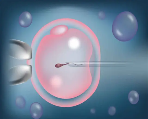 2026代生子价格_九院供卵试管_d68m6_F2483_着床成功排出的白带长啥样？有图片吗？