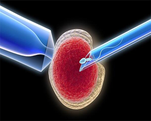 代妈个人_什么地方供卵靠谱_4z138_女儿突发白血病，离婚父母违背伦理，为脐带