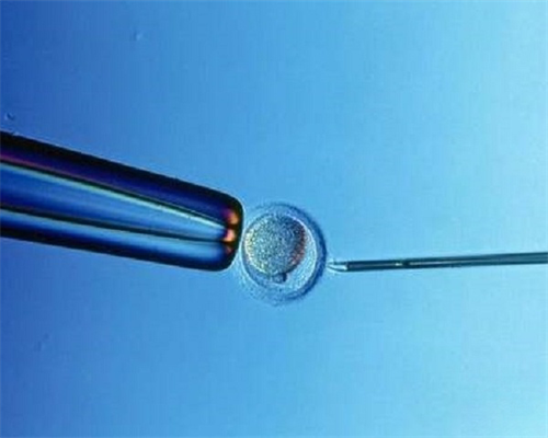 2026年泰国三代试管流程时间表来袭,请查收