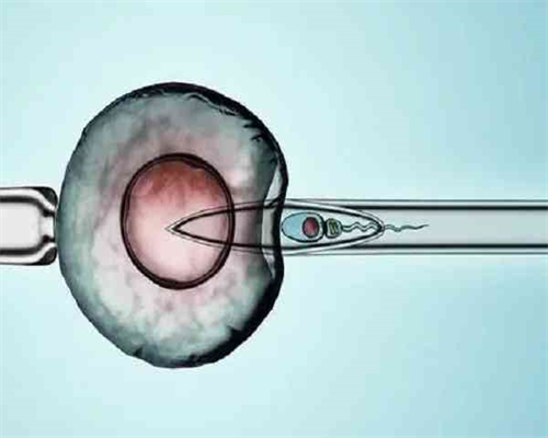 三代试管助孕微信群_50岁借卵子成功率_T3075_Z3IRU_SH9z9_麻腮风第八天发烧定律是