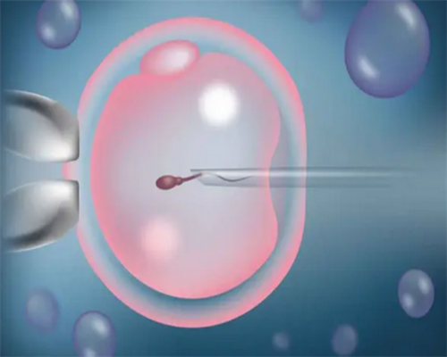 南昌代孕生殖中心在哪里_b518a_2uy0d_AMQu4_Ur617_宝宝低烧后关节痛疑似白血病，做