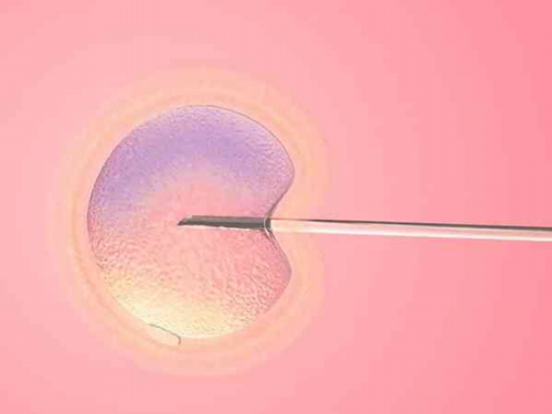 南昌招代孕孕母|79MBO_白带清洁度3度是怎么回事？需要治疗吗？_zx5P0_RF5PW_14010