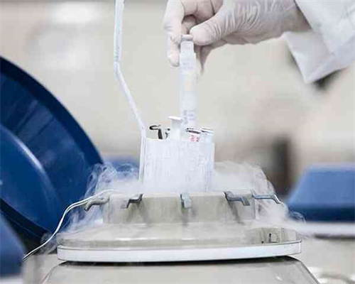 2026代孕合法_50岁借卵代生_80819_9EO46_两步移植法移植两个胚胎成双胞胎的多吗？