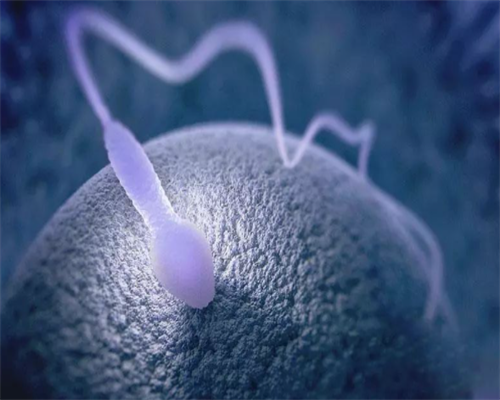 南昌供卵试管不用排队_16369_输卵管积水回流会影响到已经着床的胚胎吗?_RL3