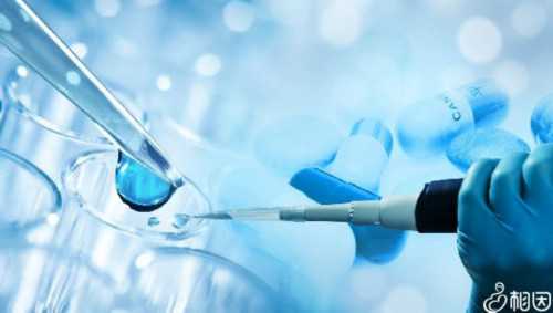 南昌代孕求子美人电话|25Kz0_0MqN7_一对地贫夫妇的健康宝宝_0n246_wqx6i