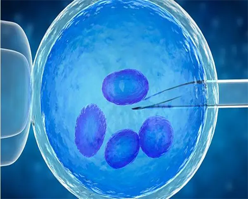 南昌ab血型代孕|CTI6X_白带清洁度3度是怎么回事？需要治疗吗？_gBKI3_q1Lmh_B76Jd